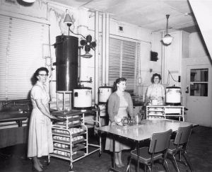 Australian tax office tea ladies HSIL